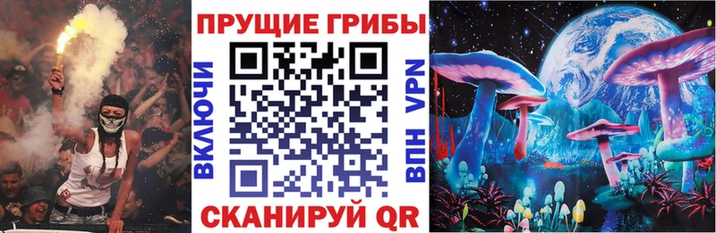 Псилоцибиновые грибы прущие грибы  дарнет шоп  Новосибирск 